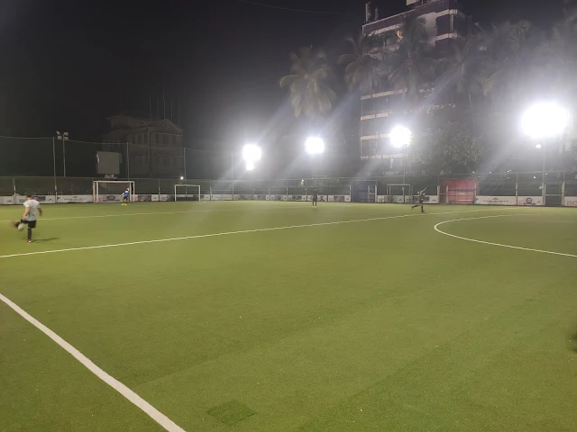 Turf photo 10