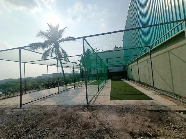 Turf photo 2