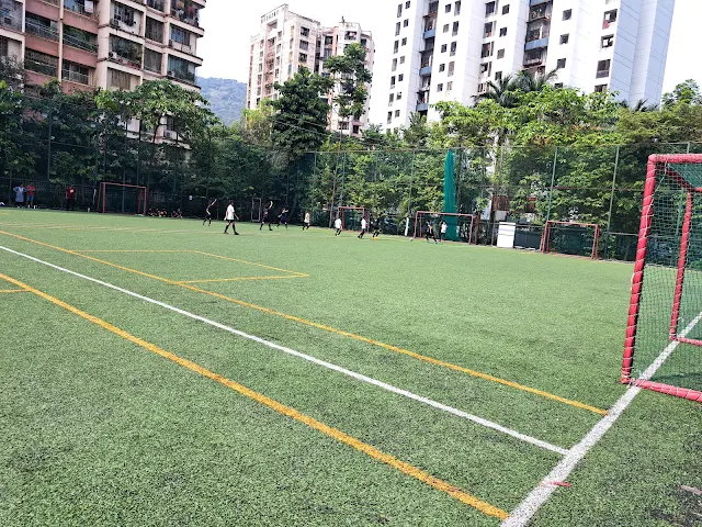 Turf photo 3