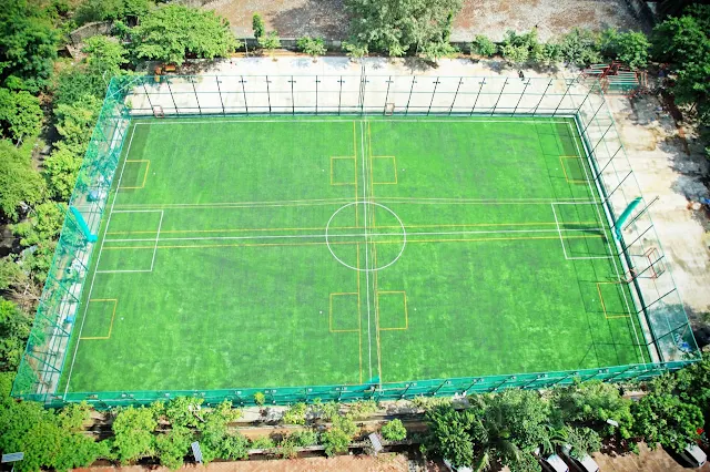 Turf photo 9