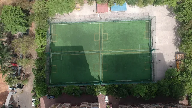 Turf main photo