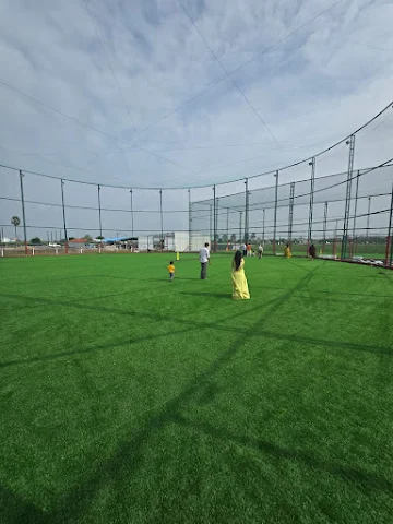 Turf photo 2