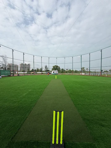Turf photo 4
