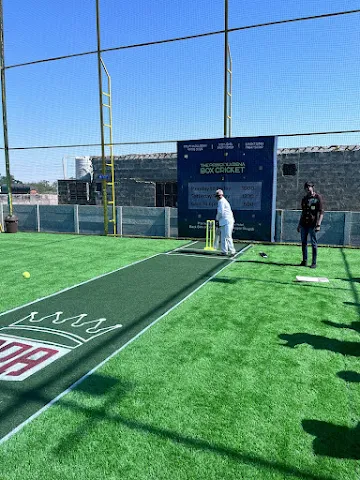 Turf photo 2