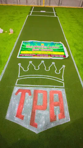 Turf photo 3