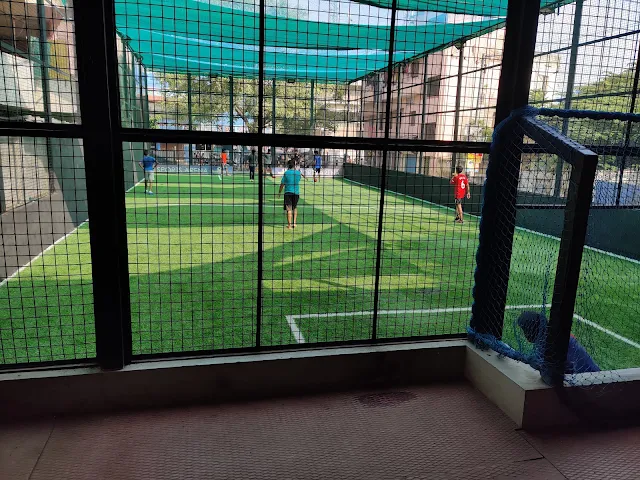 Turf photo 3