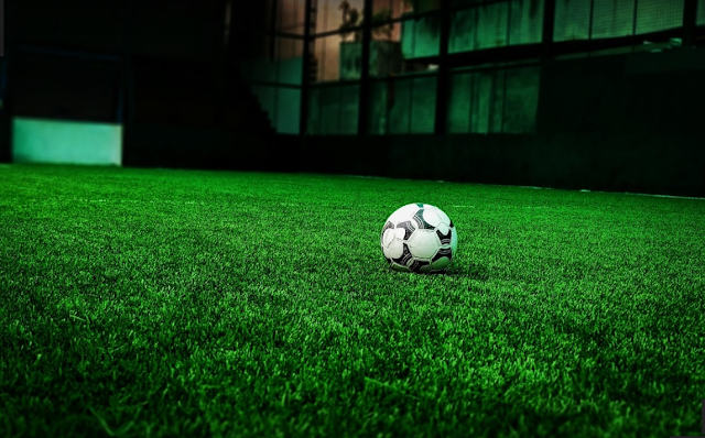 Turf main photo