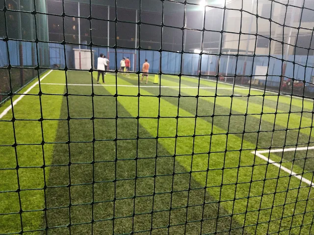 Turf photo 5