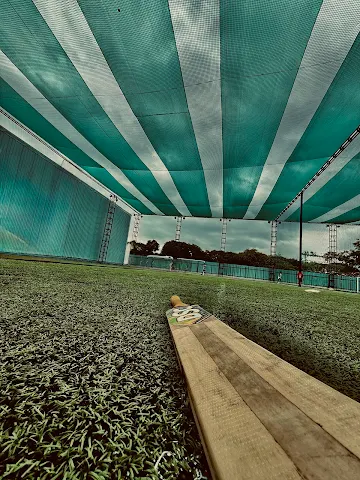 Turf photo 5
