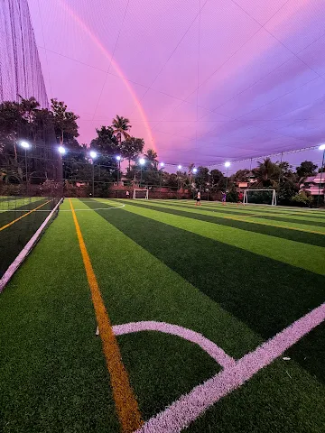 Turf photo 6