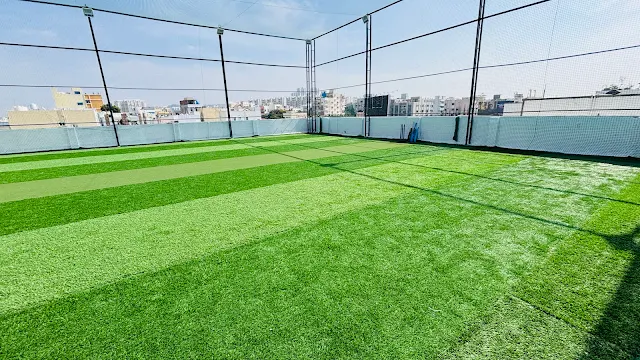 Turf photo 3