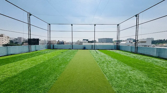 Turf photo 4