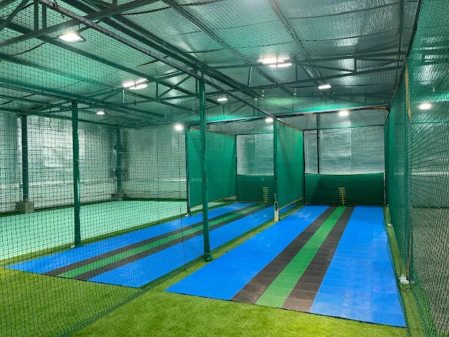 Turf photo 2