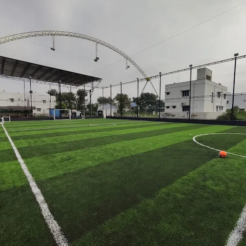 Turf photo 2