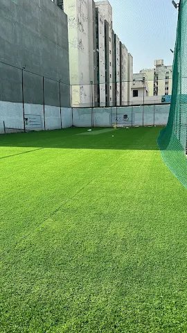 Turf photo 5