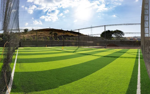 Turf photo 2