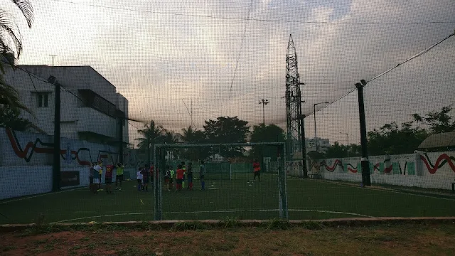 Turf photo 2