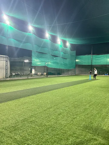 Turf photo 4