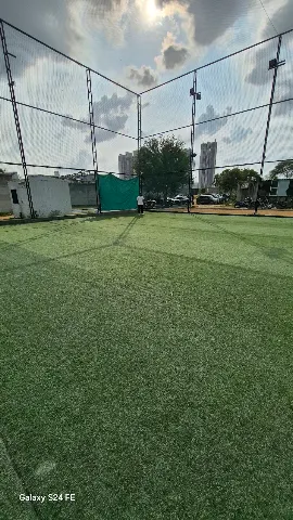 Turf photo 7