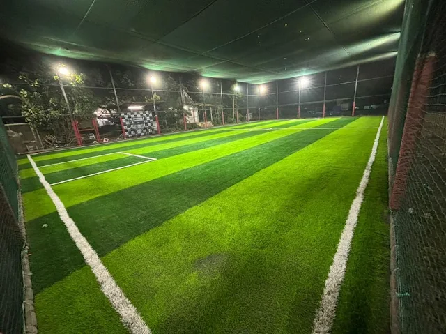 Turf photo 3