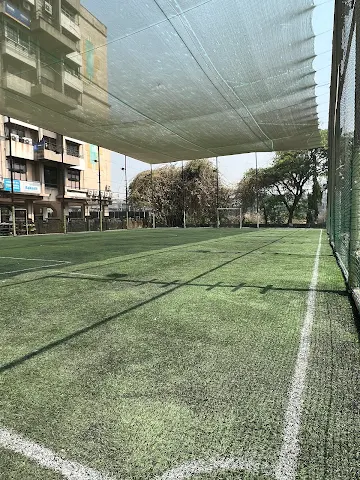 Turf photo 2