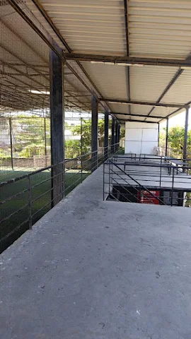 Turf photo 3
