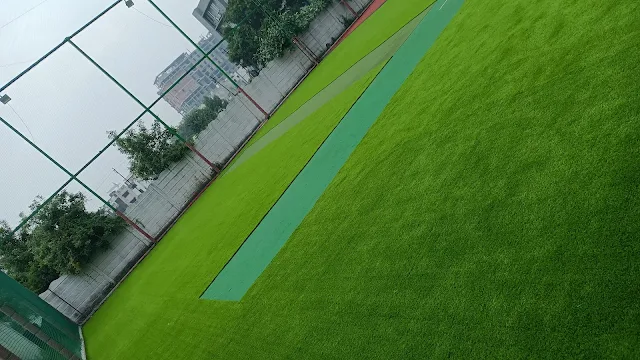 Turf photo 2