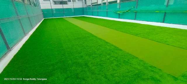 Turf photo 7