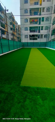 Turf photo 5