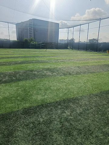 Turf main photo