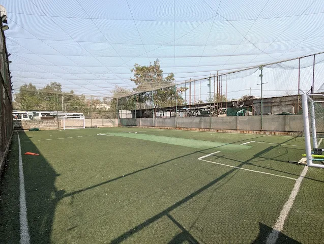 Turf main photo