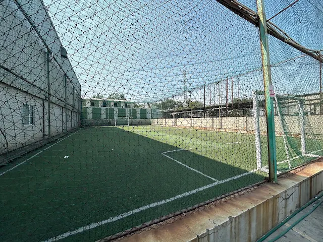 Turf photo 4