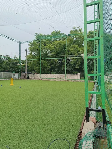 Turf photo 4