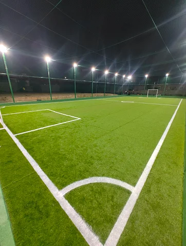 Turf photo 2