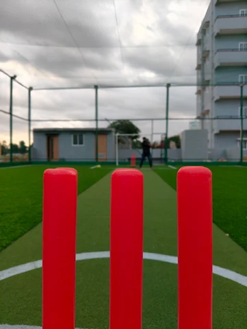 Turf photo 4