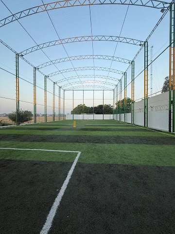 Turf photo 3