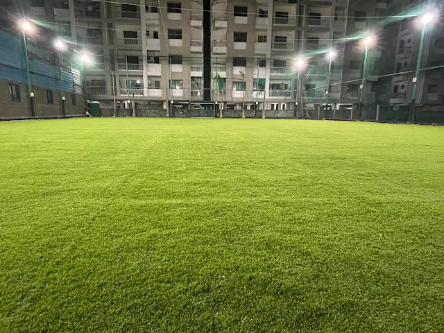 Turf photo 3