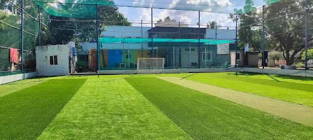 Turf photo 6