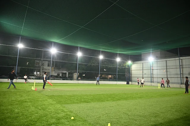 Turf photo 8
