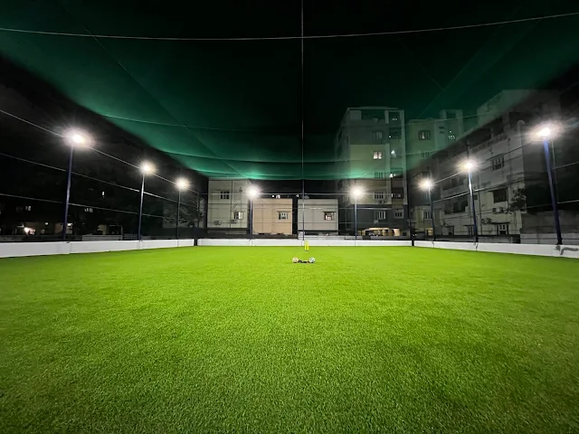 Turf photo 2