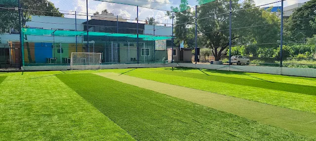 Turf photo 4