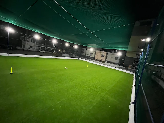Turf photo 9
