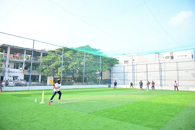 Turf photo 3