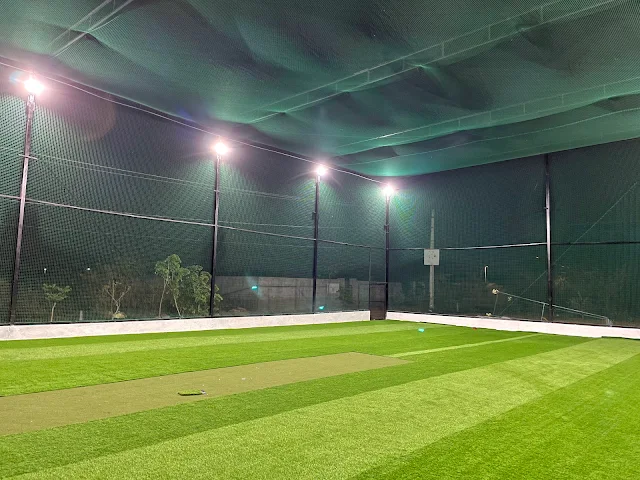 Turf photo 2