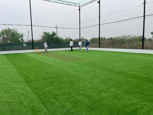 Turf photo 5