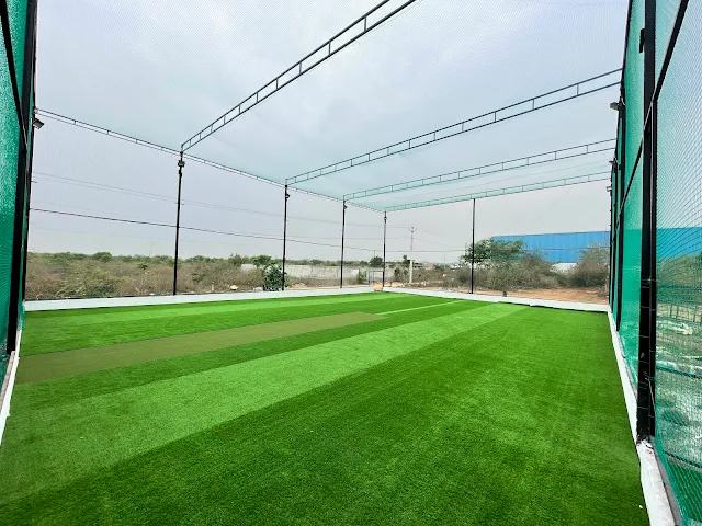 Turf photo 7