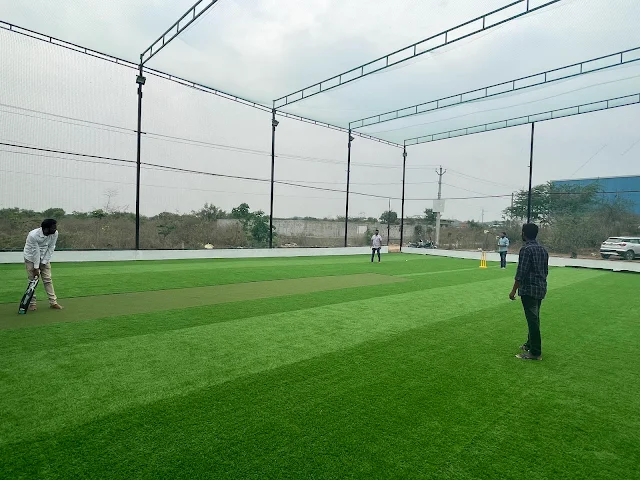 Turf photo 6