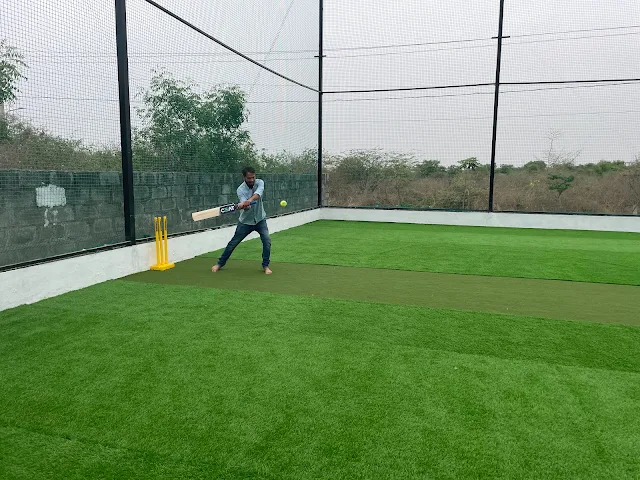 Turf photo 3