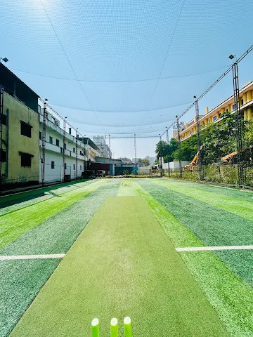 Turf photo 5