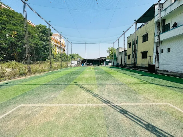 Turf photo 3